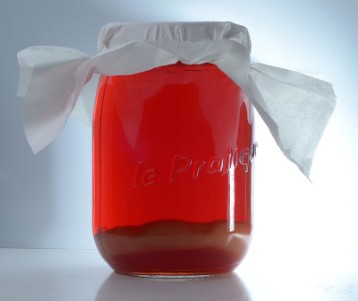 Kombucha